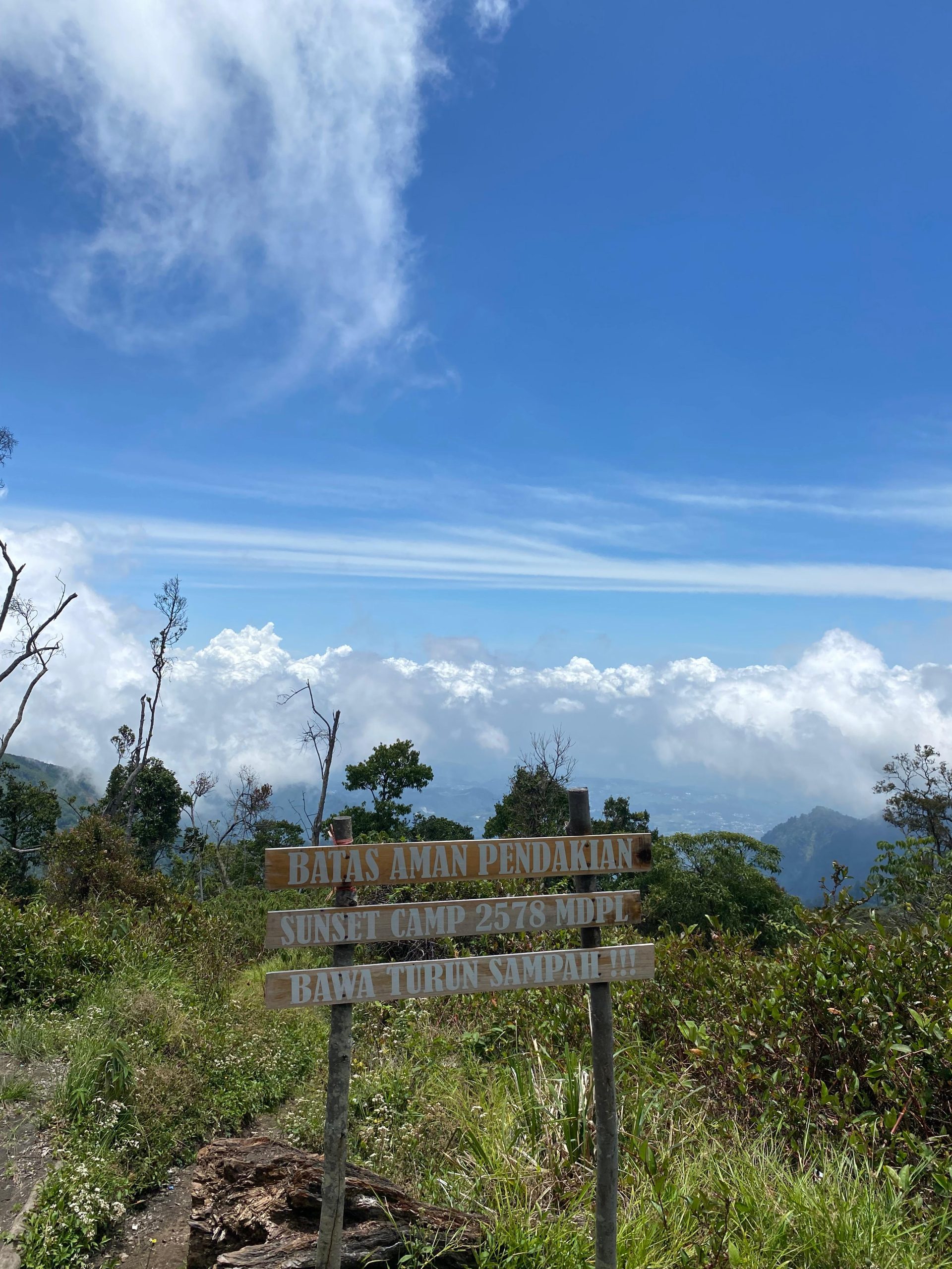 WhatsApp Image 2025-11-15 at 12.57.50 (1)